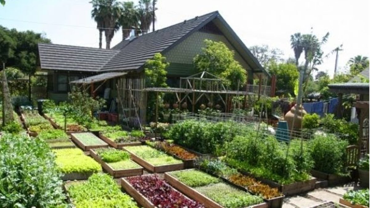 como-montar-uma-horta-arte-vegetal-paisagismo